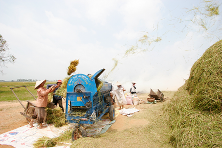 Nông nghiệp thể hiện vai trò bệ đỡ cho nền kinh tế