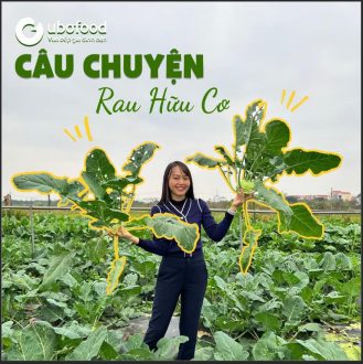 Câu chuyện rau sạch hữu cơ tại công ty thành viên của AnViet Group – Ubofood 🥬🍅🥦