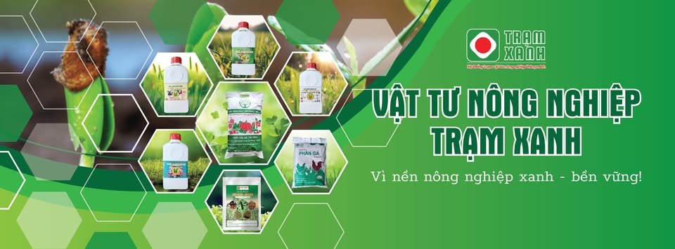 Công ty CP Đầu Tư Và Phát Triển Nông Nghiệp Trạm Xanh